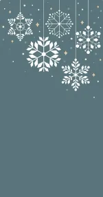 Snowflakes form