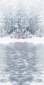 Winter lake