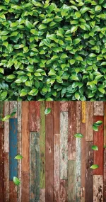 Living wall & falling