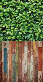 Living wall