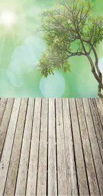 Olive tree