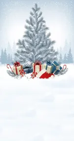 Lost Santa's hat