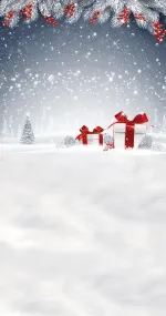 Two gifts
