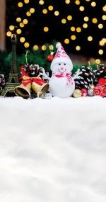 Chrismtas in Paris