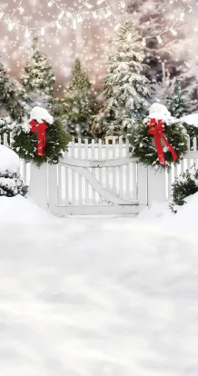 DB Winter gate