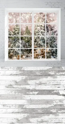 DB Winter window