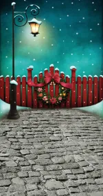 Christmas by night
