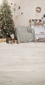 Christmas frames