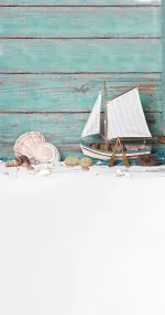 Ship in shells