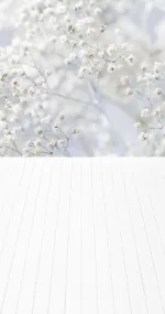 Tiny white flowers