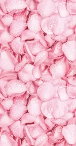 Sweet light pink
