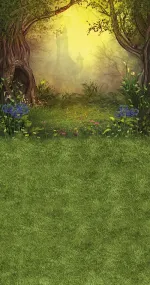 Forest sensations