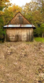 Cottage in the forest