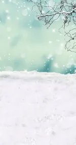 Branch in winter
