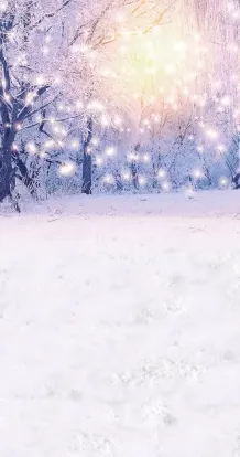 Lights in winter blue