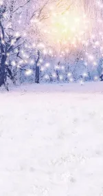 Lights in winter blue