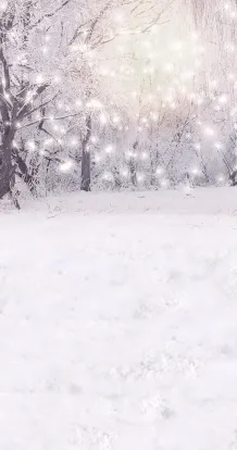 Lights in winter gray