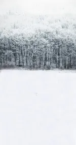 My winter place