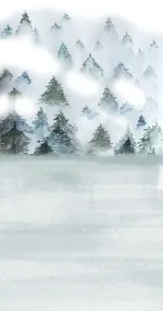 Where is my forest