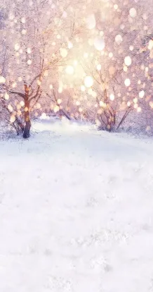 Winter lights outside