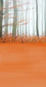 Autumn walk