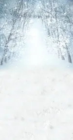 Winter road