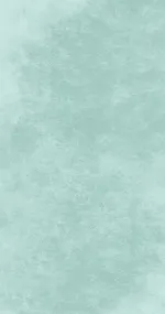 Canvas Mint