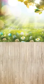 Easter walking fields