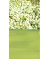 DB floral white wall
