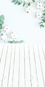Cotton with eucalyptus