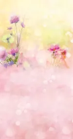 Ayden pink