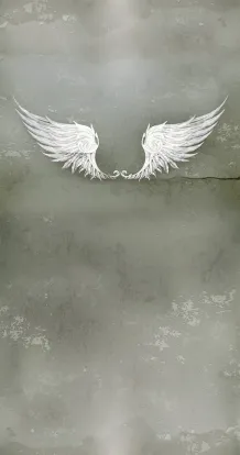 Angel's wings.jpg