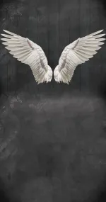 Light Wings