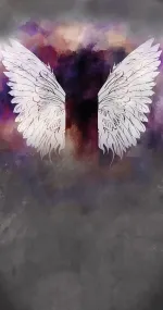 Painted wings