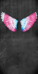 Pink Wings