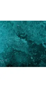 Atlantis