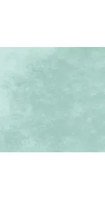 Canvas Mint