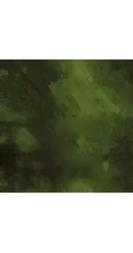 Fir green