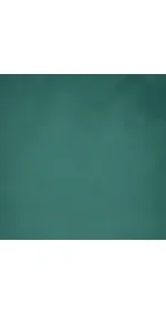 Petrol green