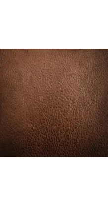Phoenix Leather