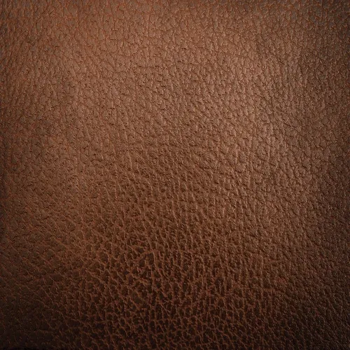 Phoenix Leather