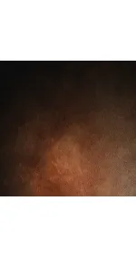 Taurus Leather