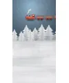 Christmas train