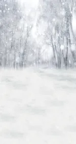 Cristal Forest