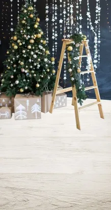 Christmas ladder