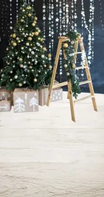 Christmas ladder