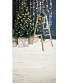 Christmas ladder