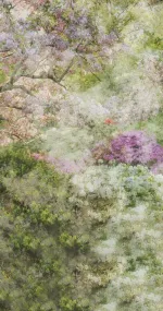 Vintage Garden