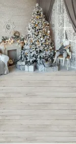 Christmas clown
