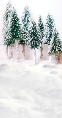 DB winter forest